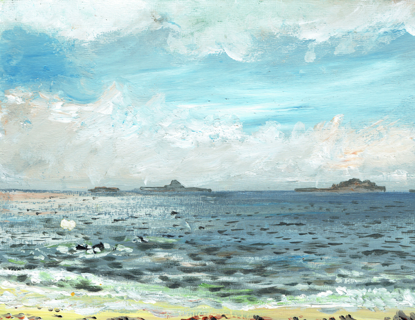 Iona beach from Vincent Alexander Booth