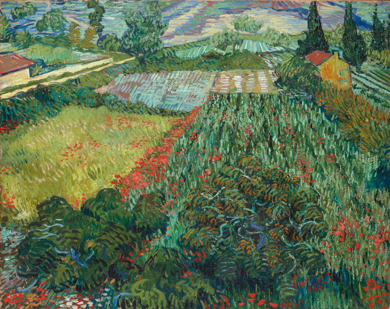 Feld mit Mohnblumen from Vincent van Gogh