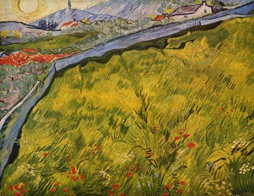 Die eingezäunte Wiese from Vincent van Gogh