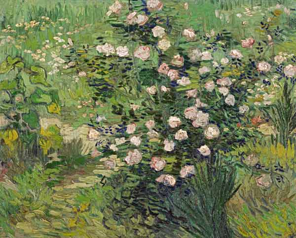 Roses from Vincent van Gogh