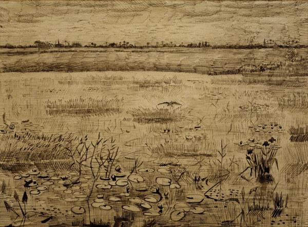 V.van Gogh, Marsh w.Water Lillies/ 1881 from Vincent van Gogh