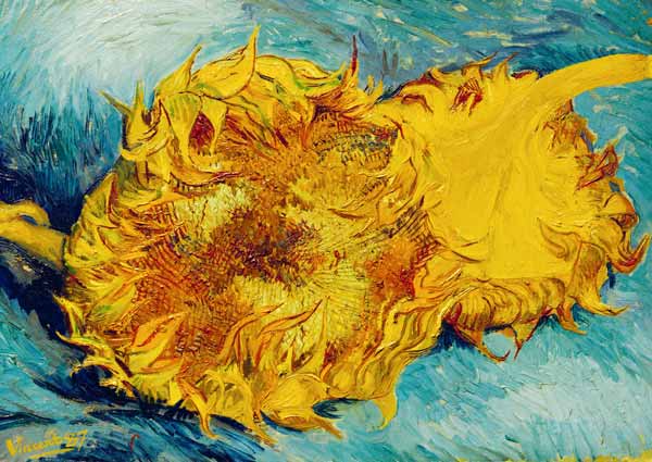 zwei abgeschnittene Sonnenblumen from Vincent van Gogh