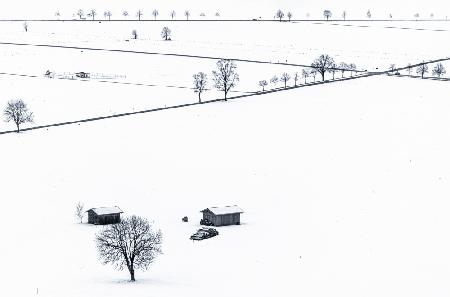 Feld im Winter
