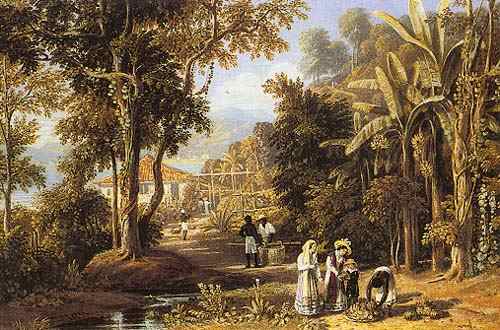 Gartenszene von der Borganza Küste, Rio de Janeiro from William Havell