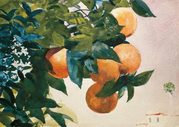 Ast mit Orangen from Winslow Homer
